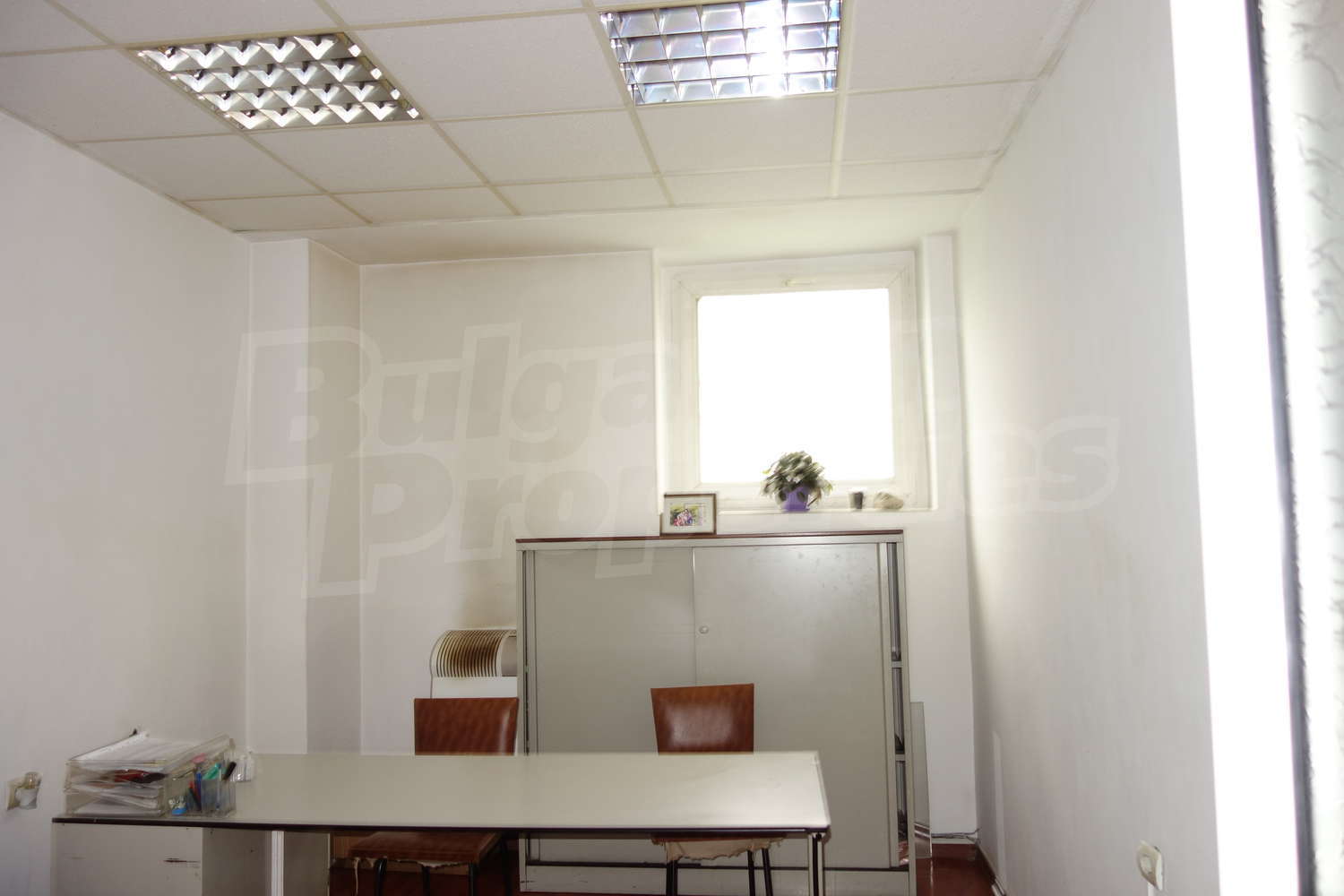 Gallery Picture 11