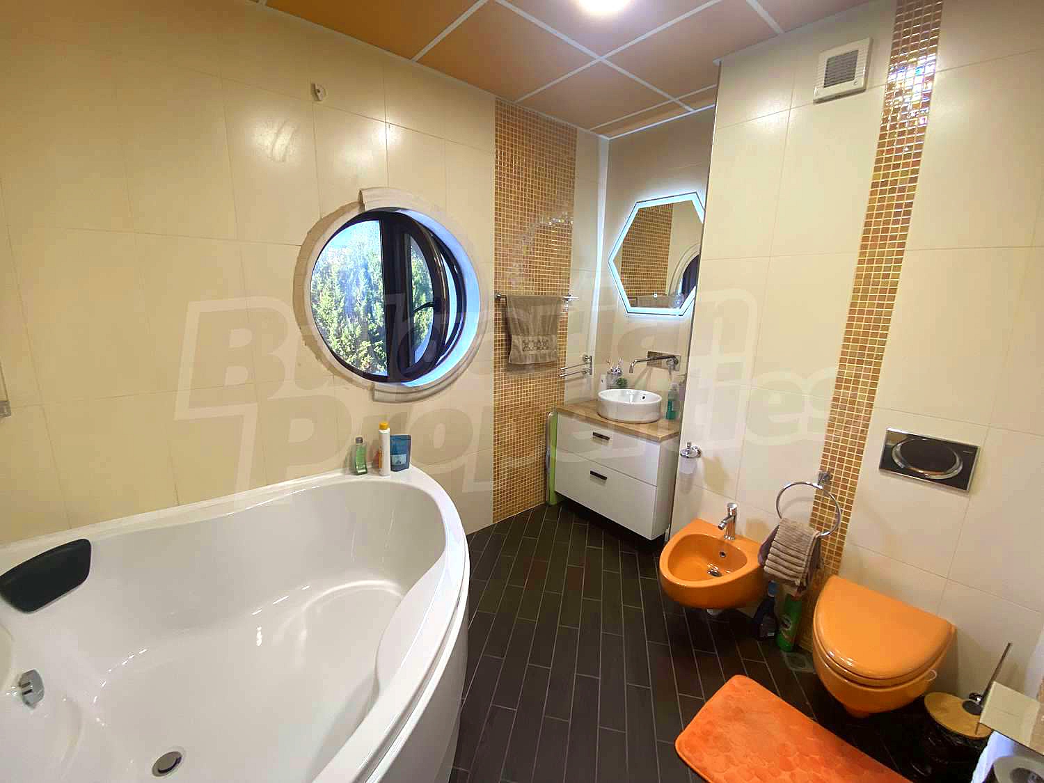 Gallery Picture 26