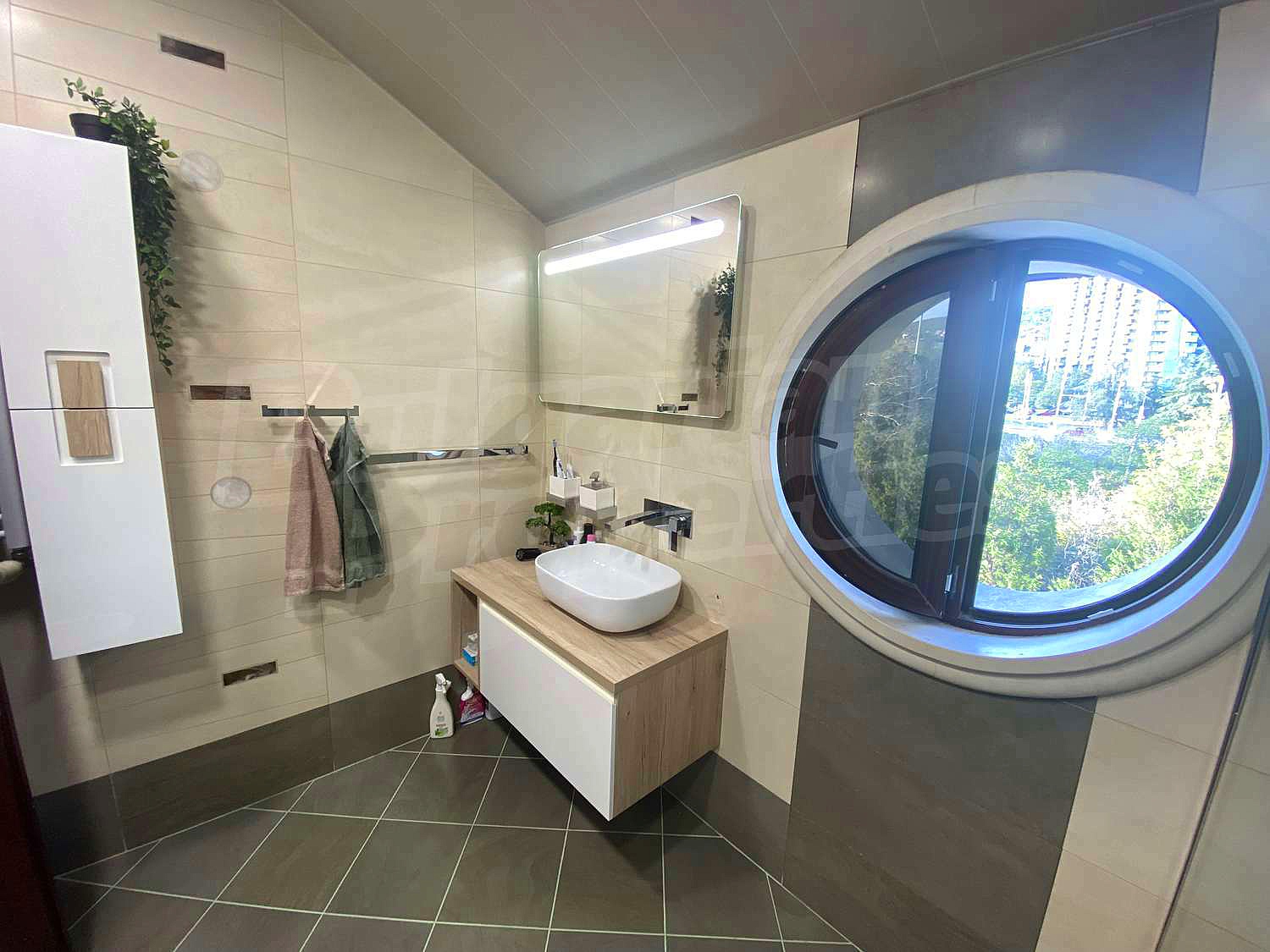 Gallery Picture 28