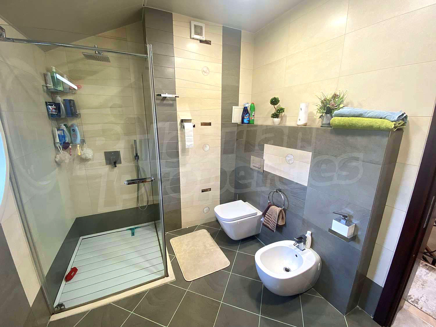 Gallery Picture 38