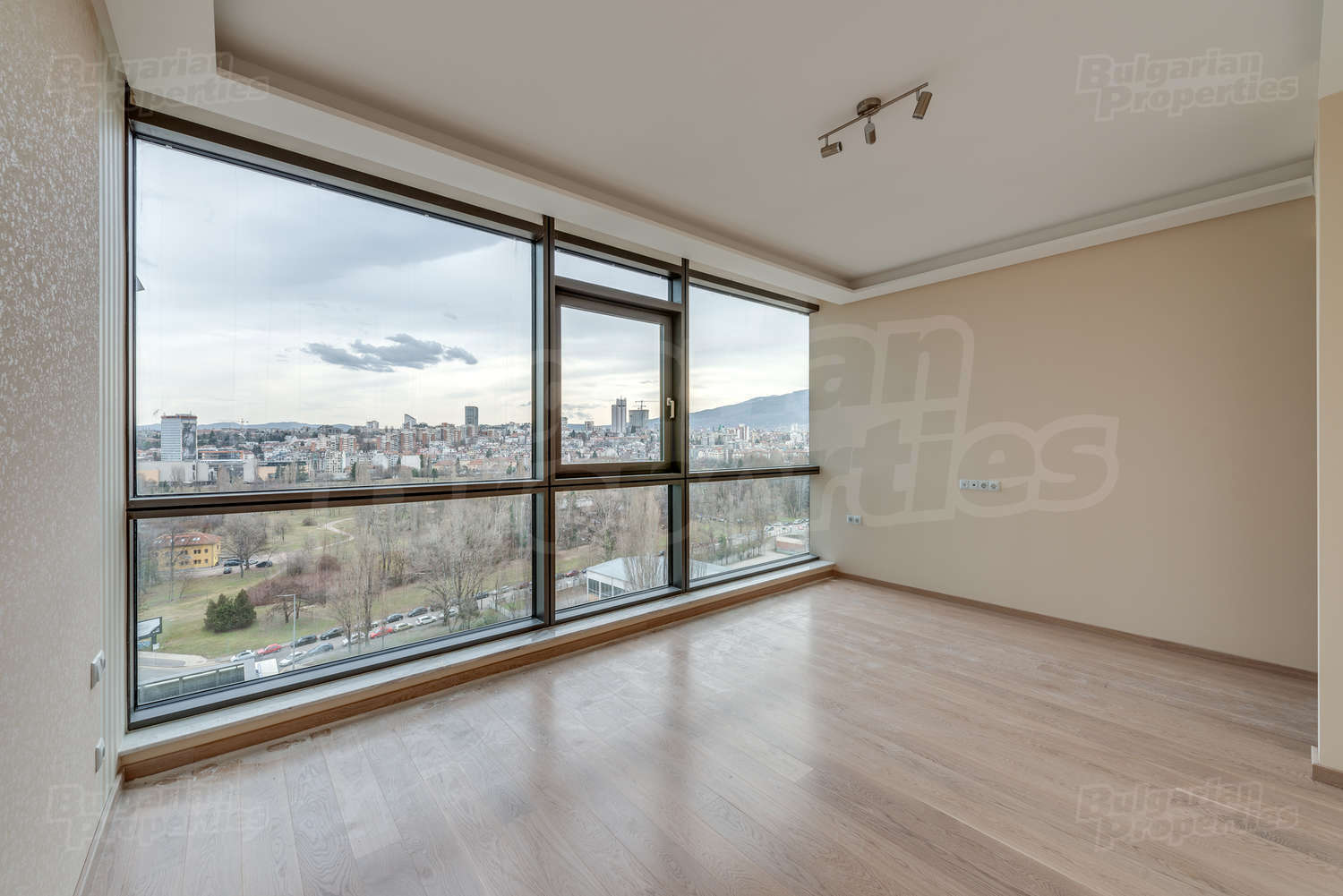 Gallery Picture 11