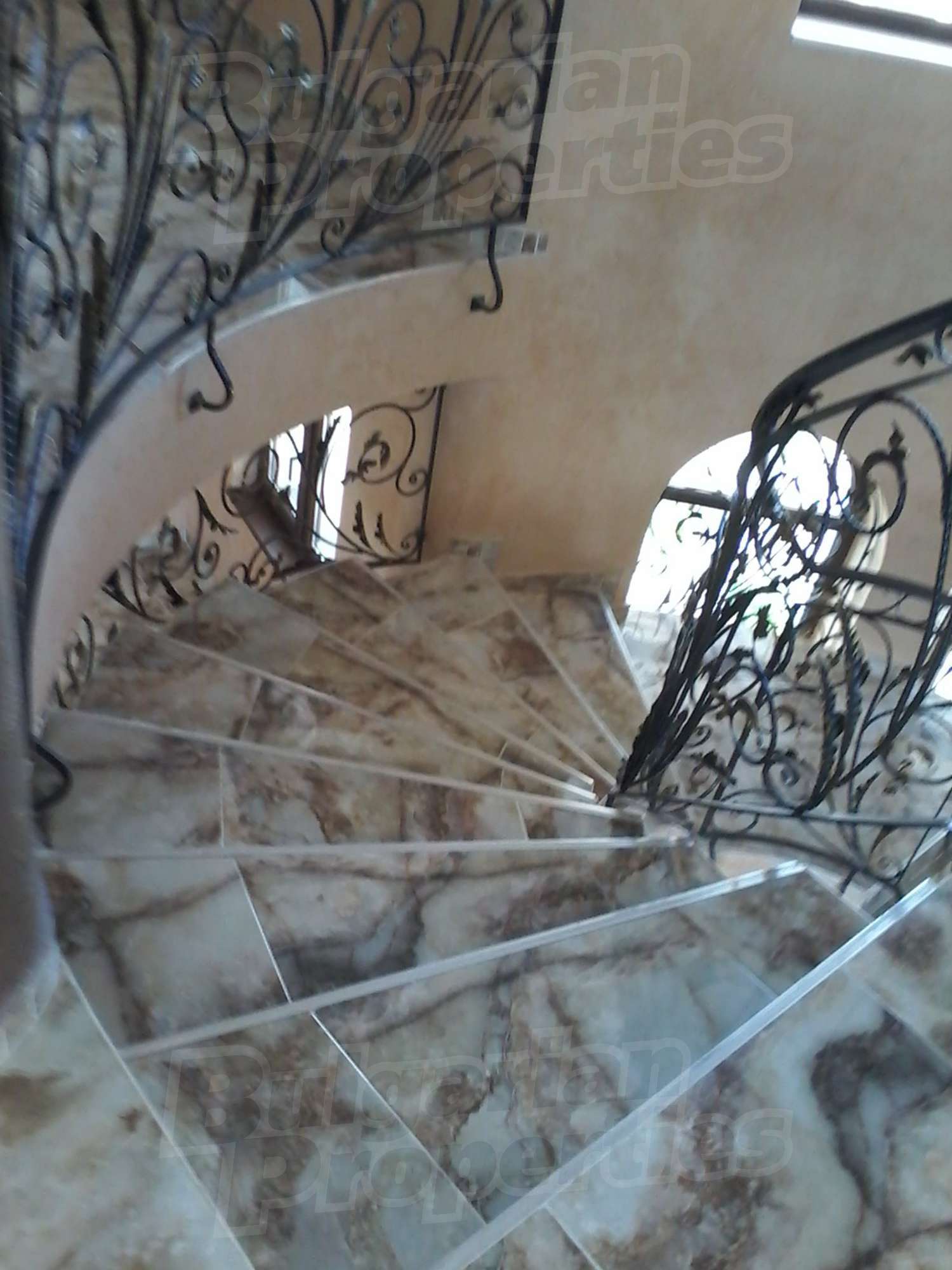 Gallery Picture 30