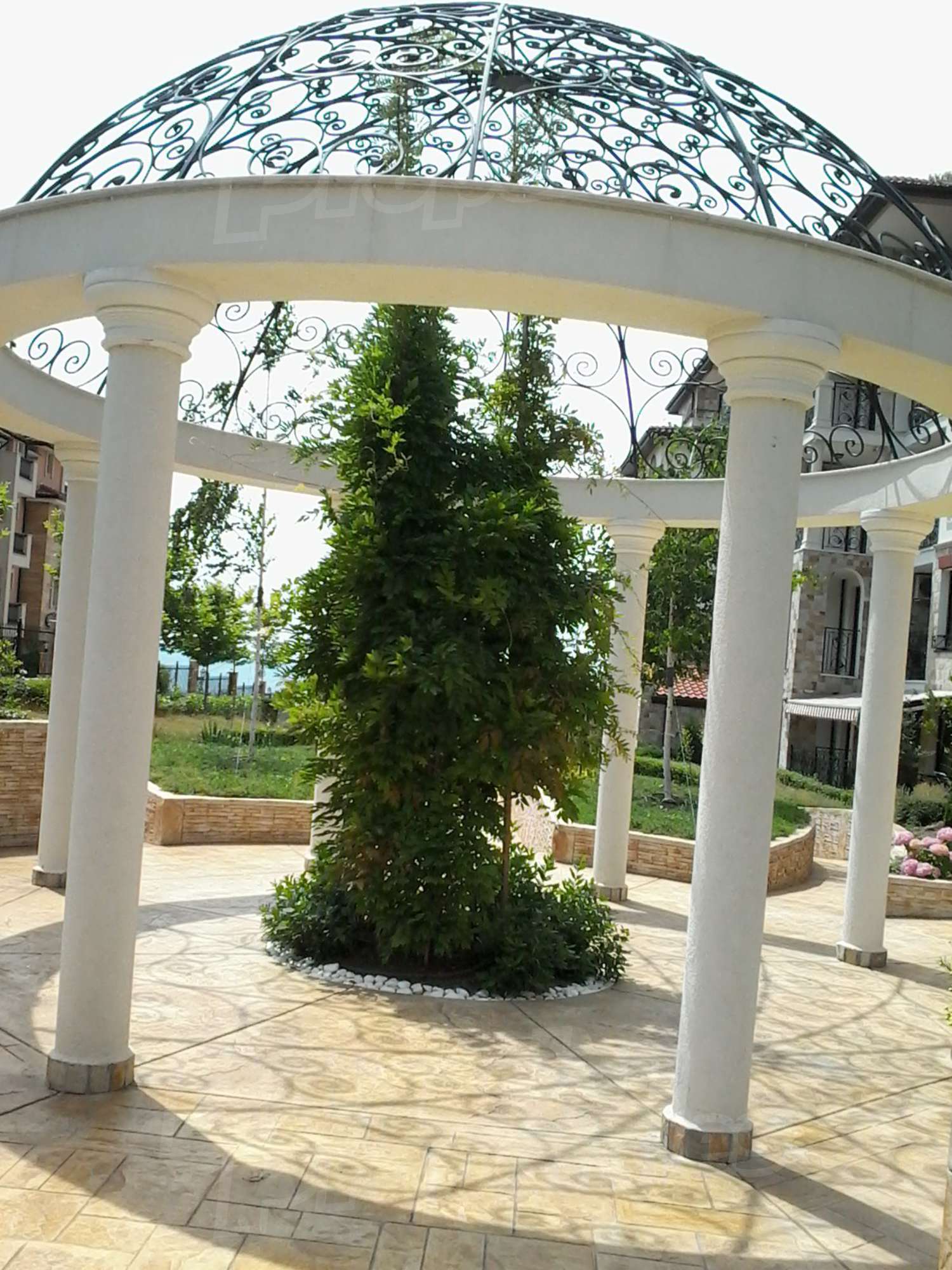 Gallery Picture 42