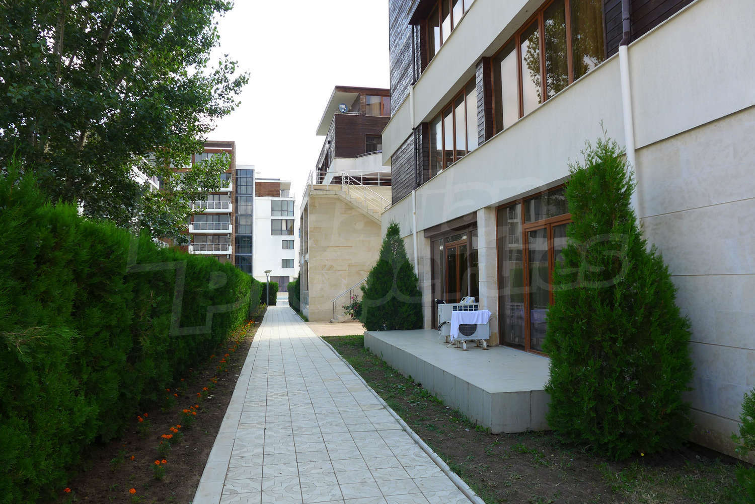 Gallery Picture 26