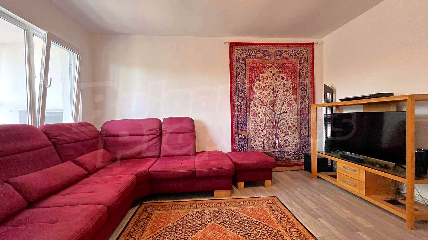 Gallery Picture 12
