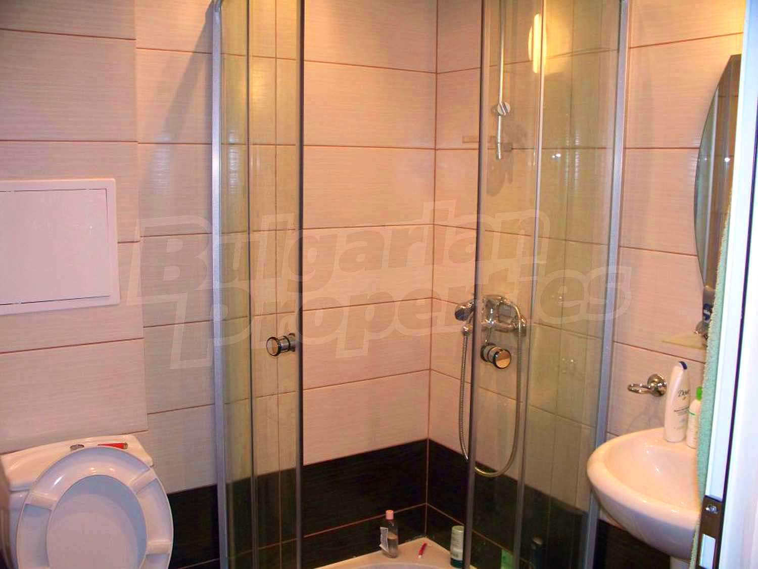 Gallery Picture 20