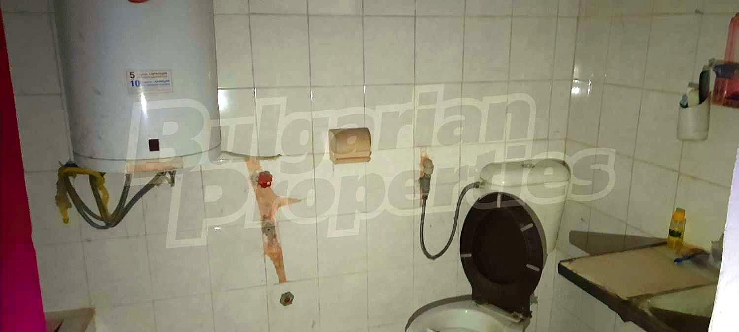 Gallery Picture 10