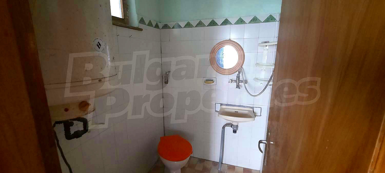 Gallery Picture 11
