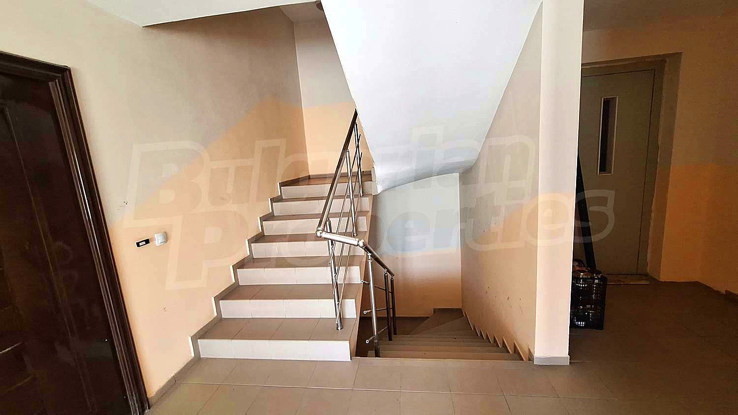 Gallery Picture 14