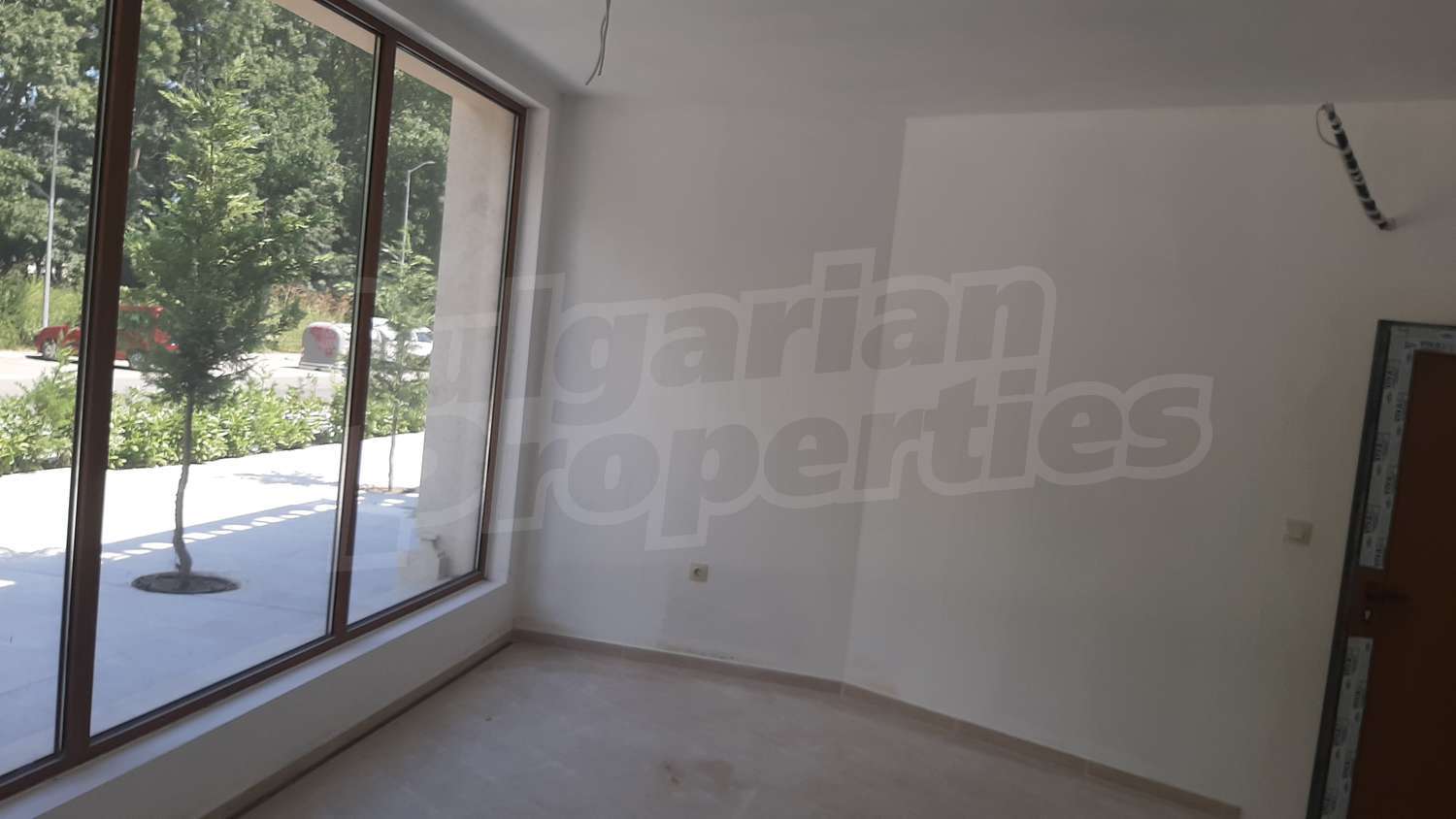 Gallery Picture 17
