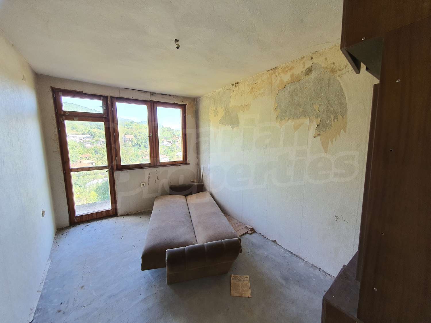 Gallery Picture 16