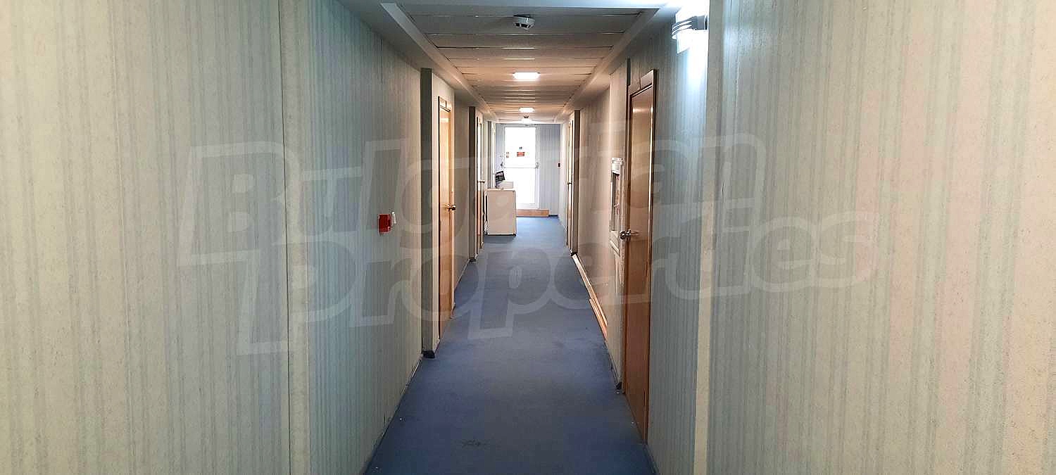 Gallery Picture 16