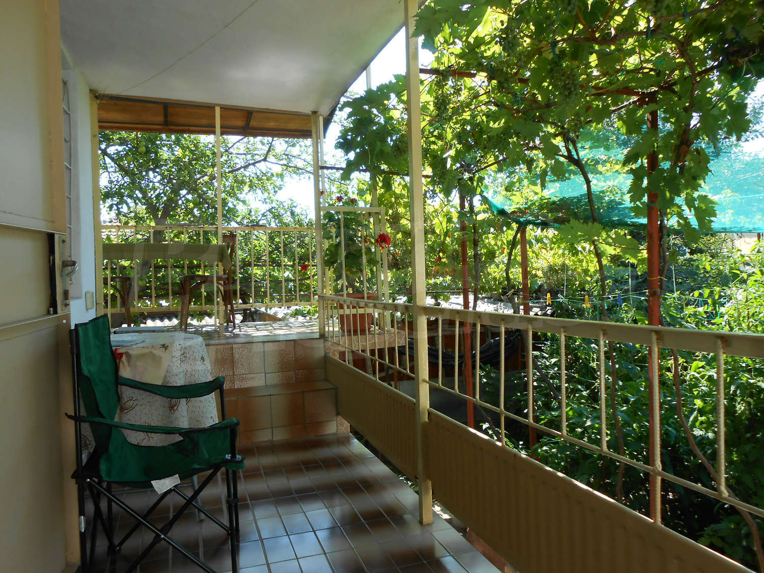 Gallery Picture 10