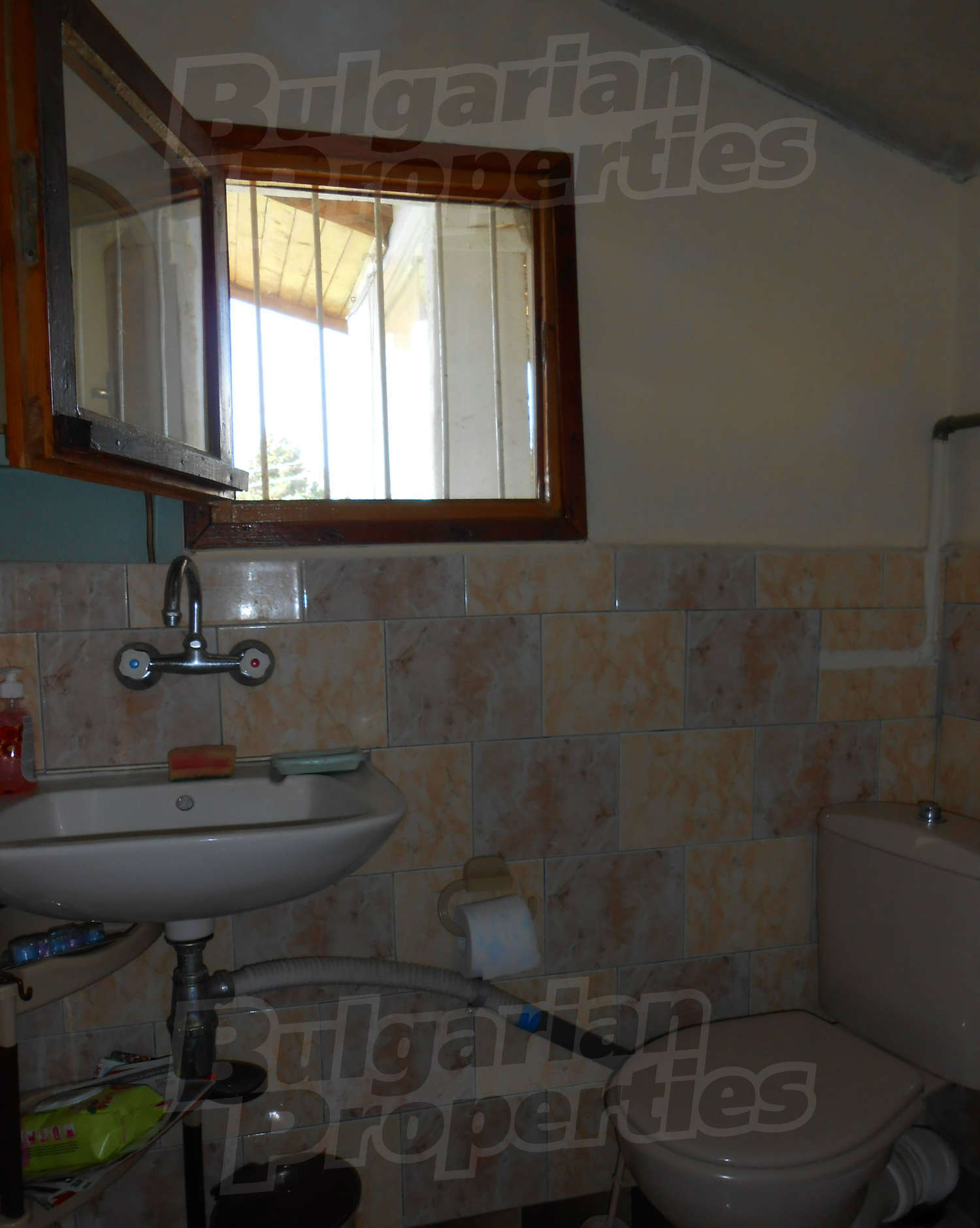 Gallery Picture 19