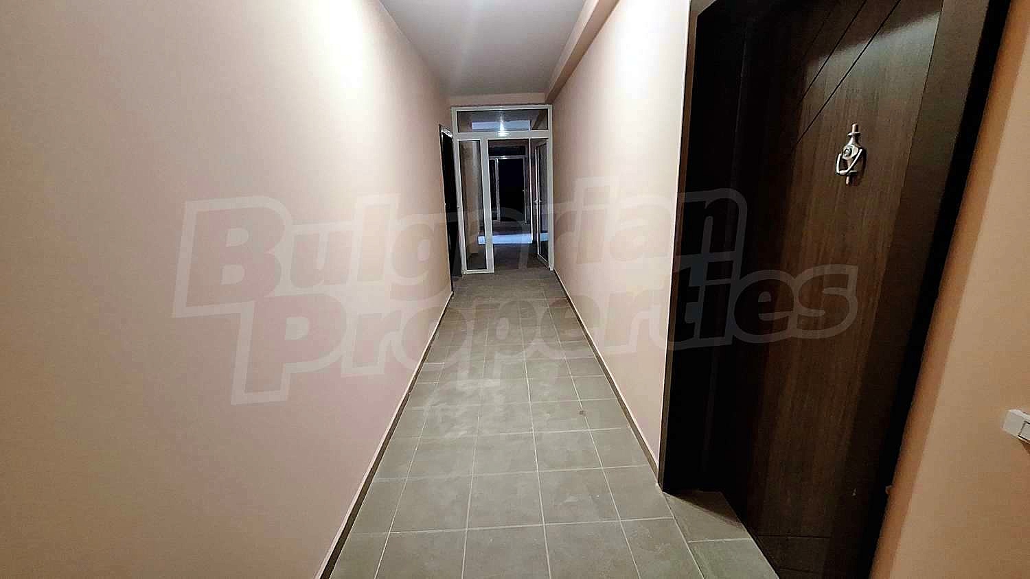 Gallery Picture 17