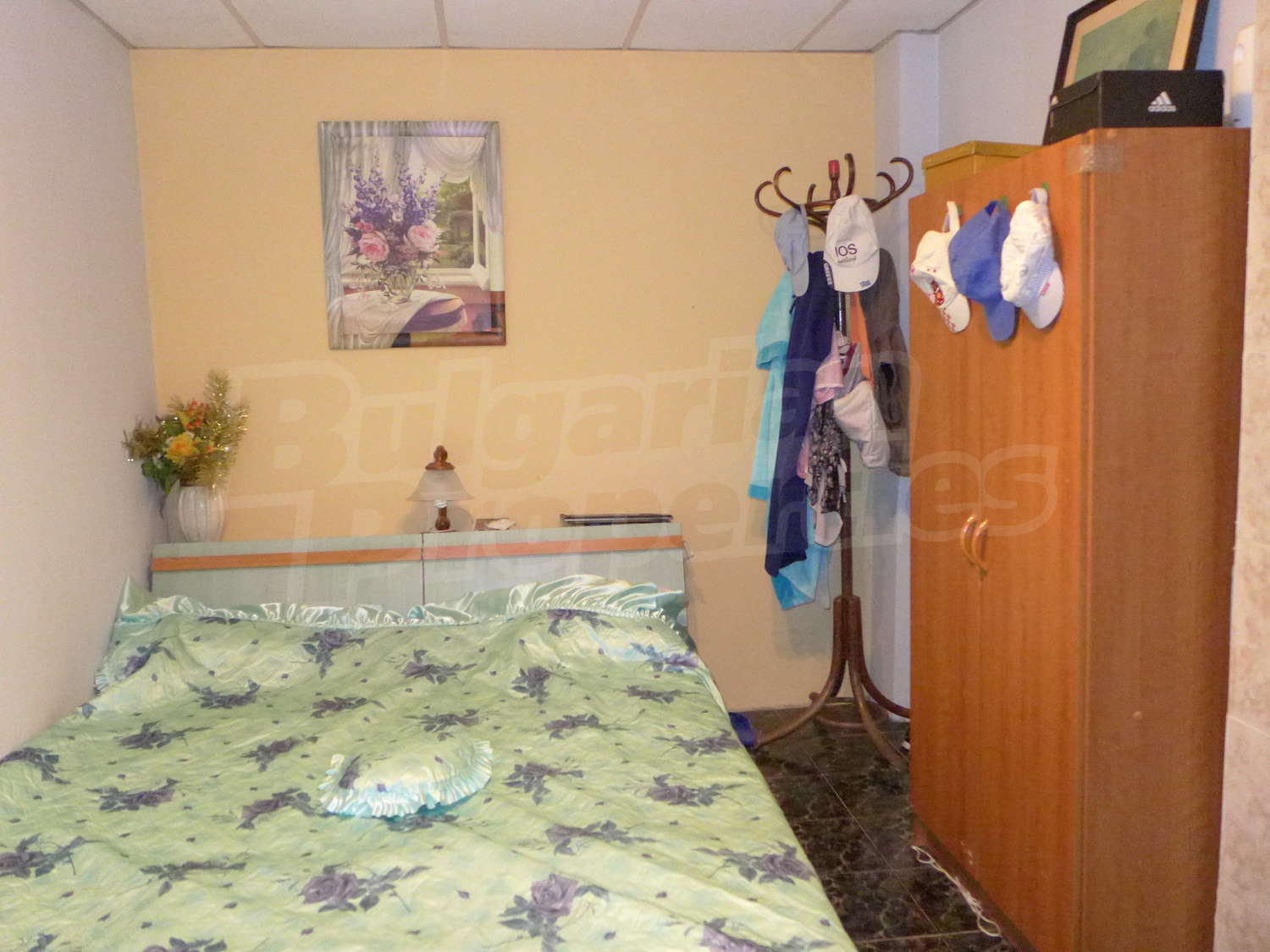 Gallery Picture 19