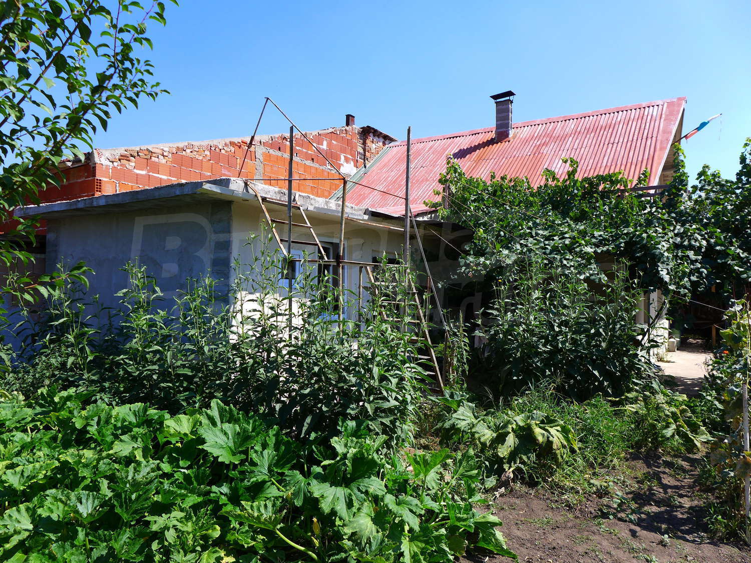 Gallery Picture 31