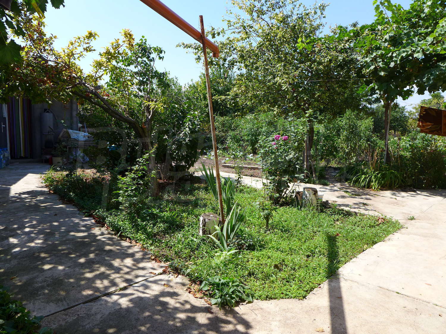 Gallery Picture 32