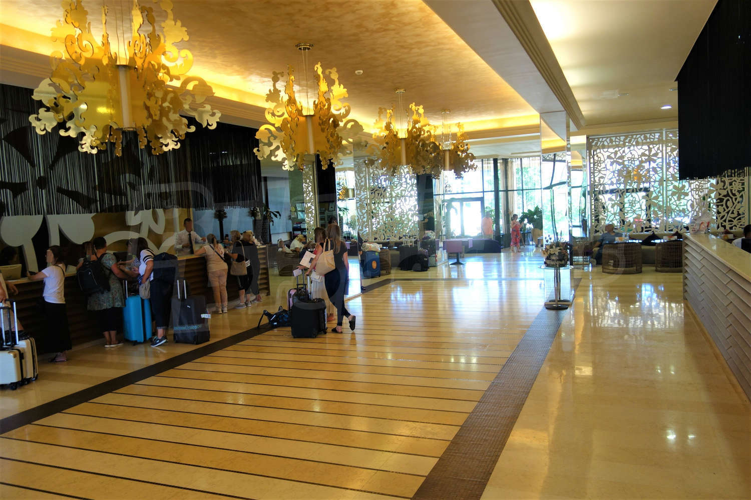Gallery Picture 16