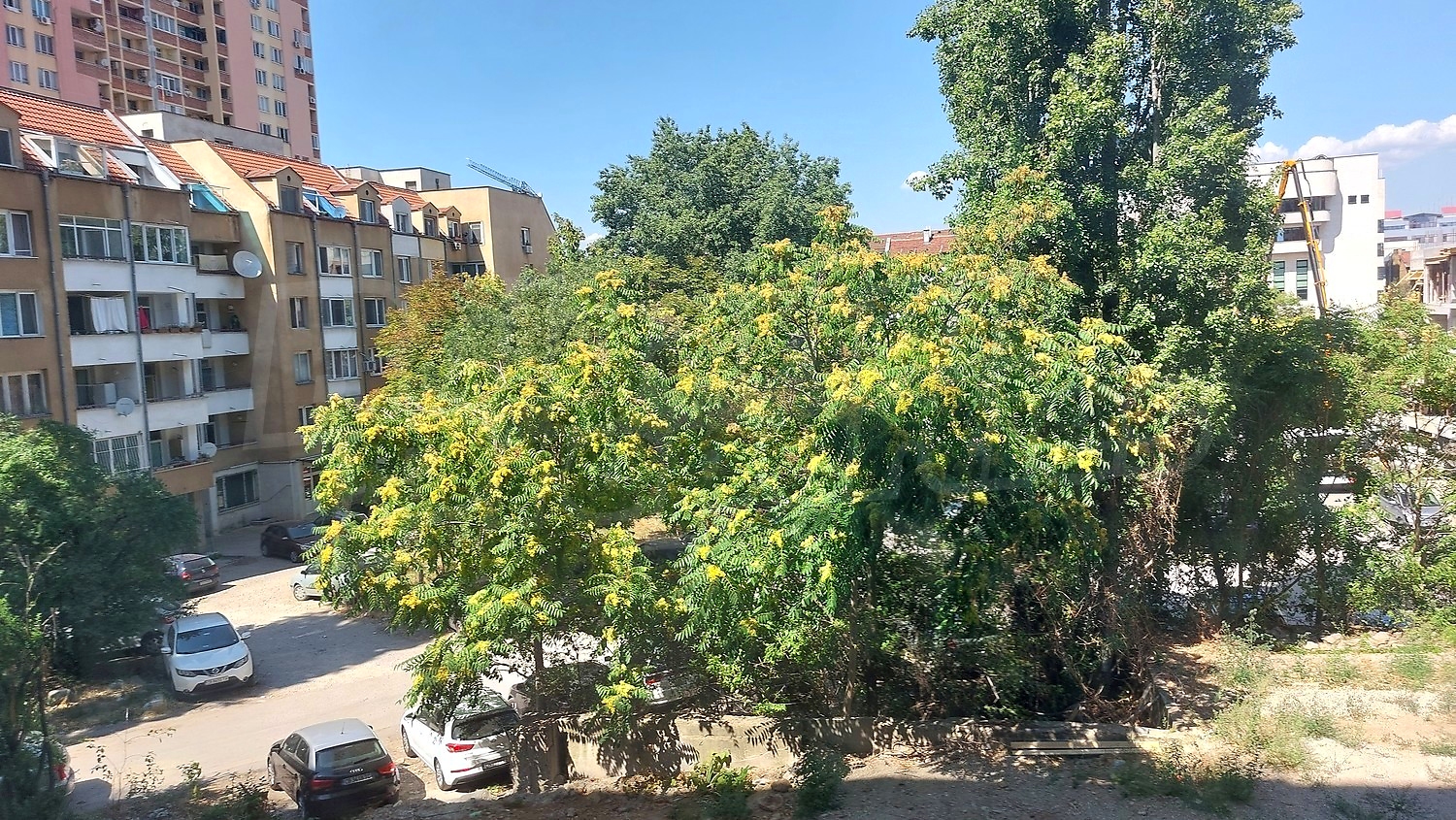 outside, green area, parking