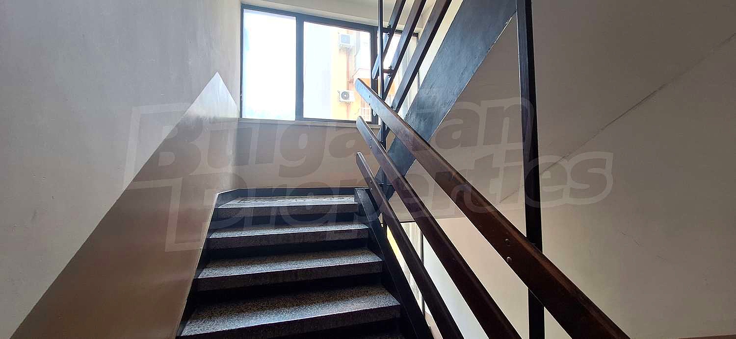 Gallery Picture 16