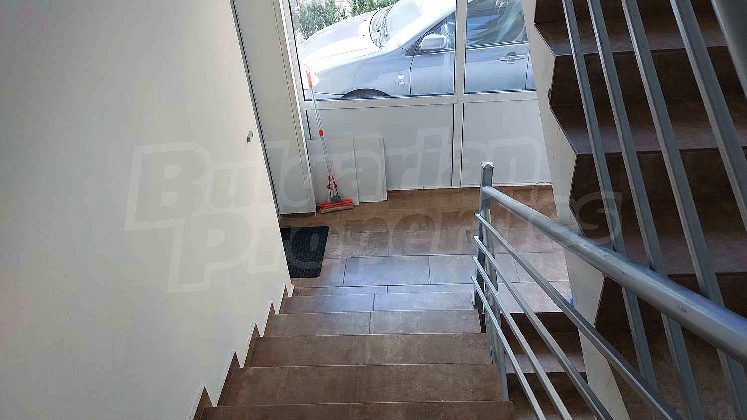 Gallery Picture 27