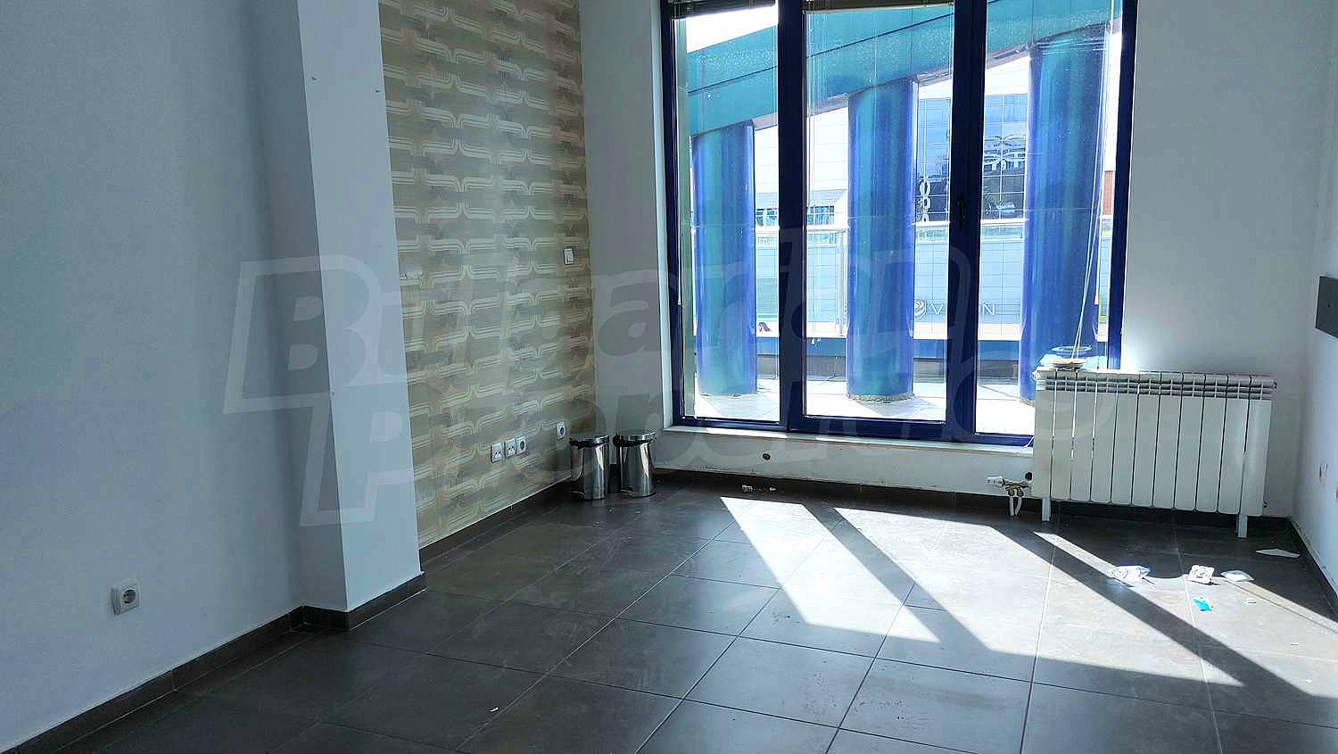 Gallery Picture 8