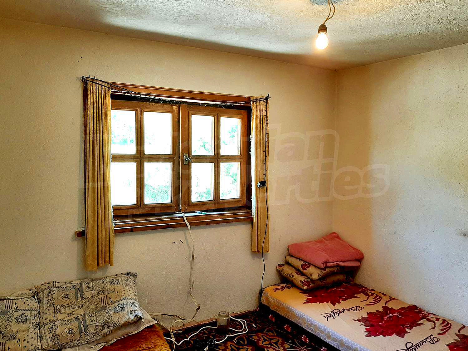Gallery Picture 10