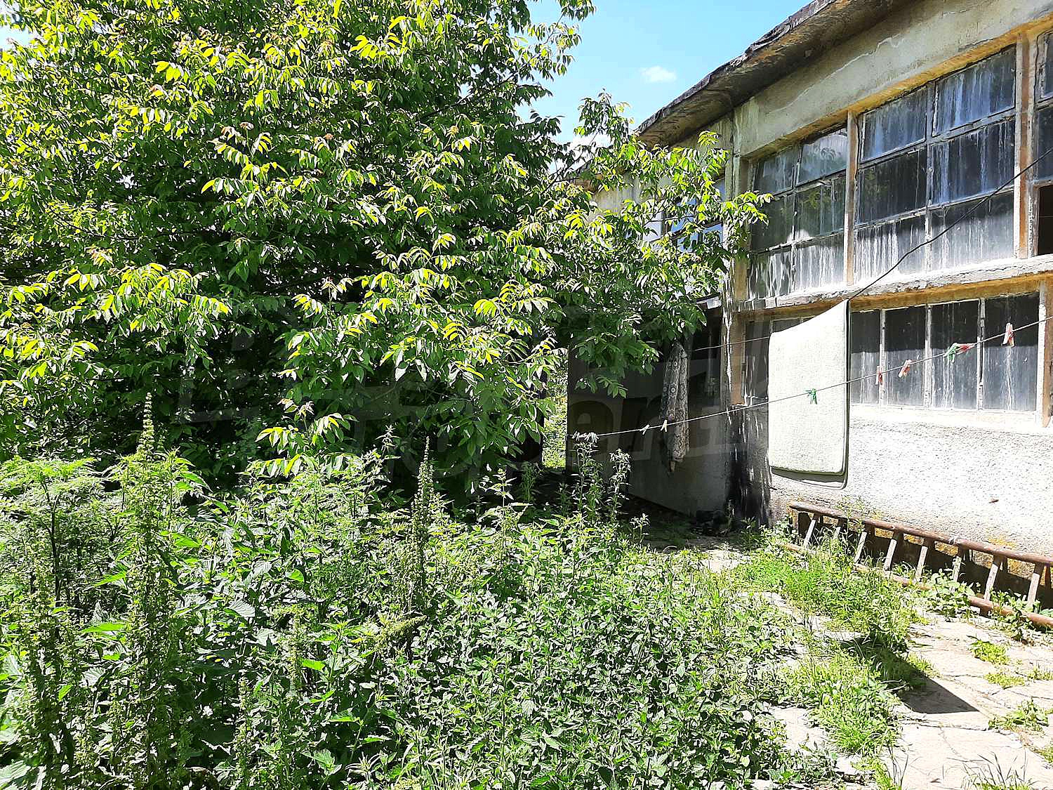 Gallery Picture 7
