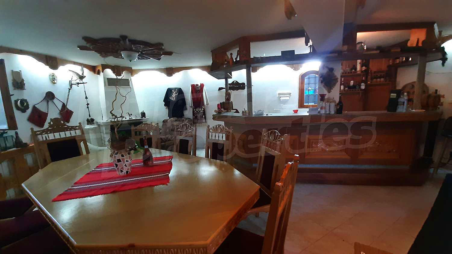 Gallery Picture 17