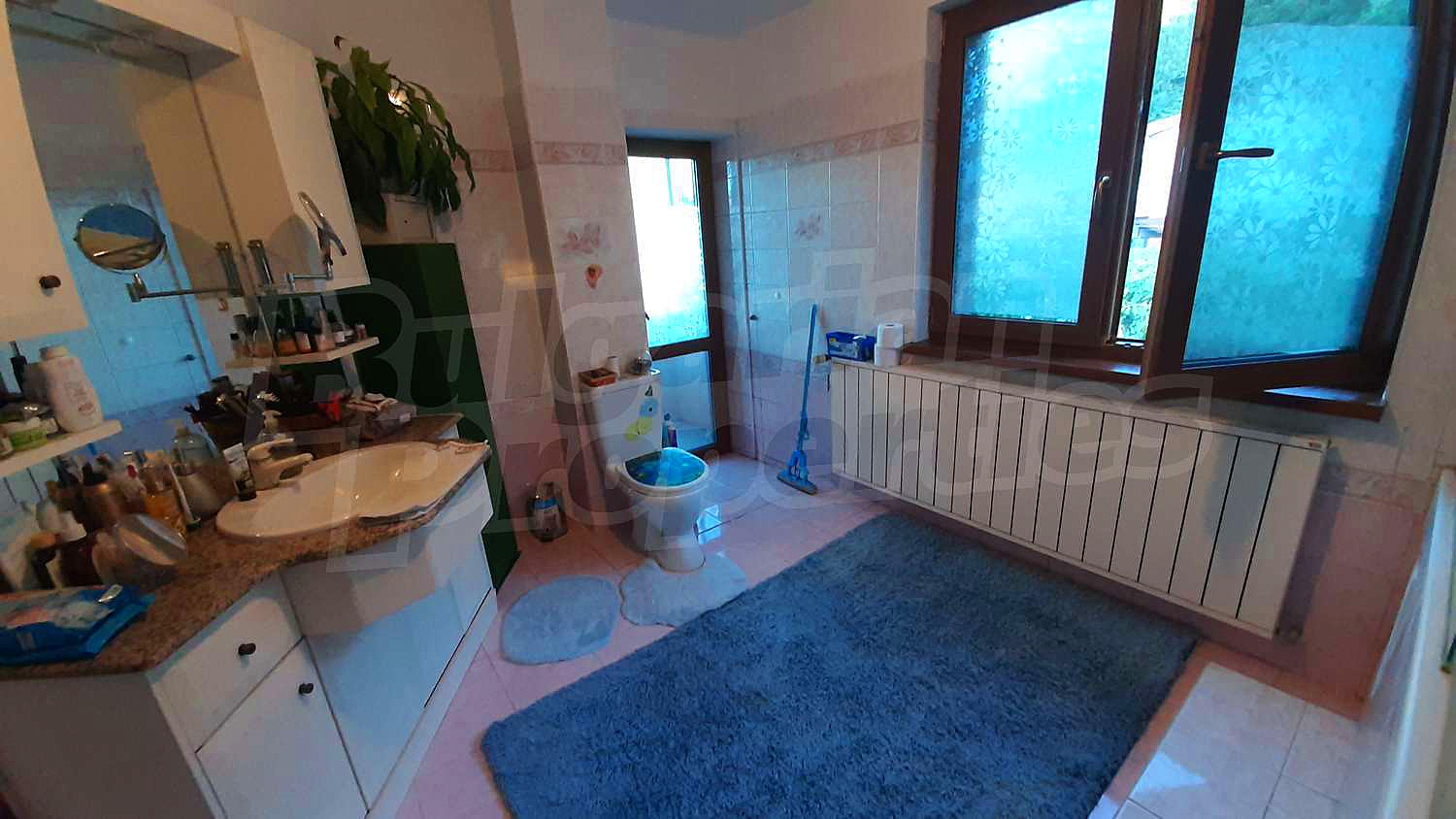 Gallery Picture 28