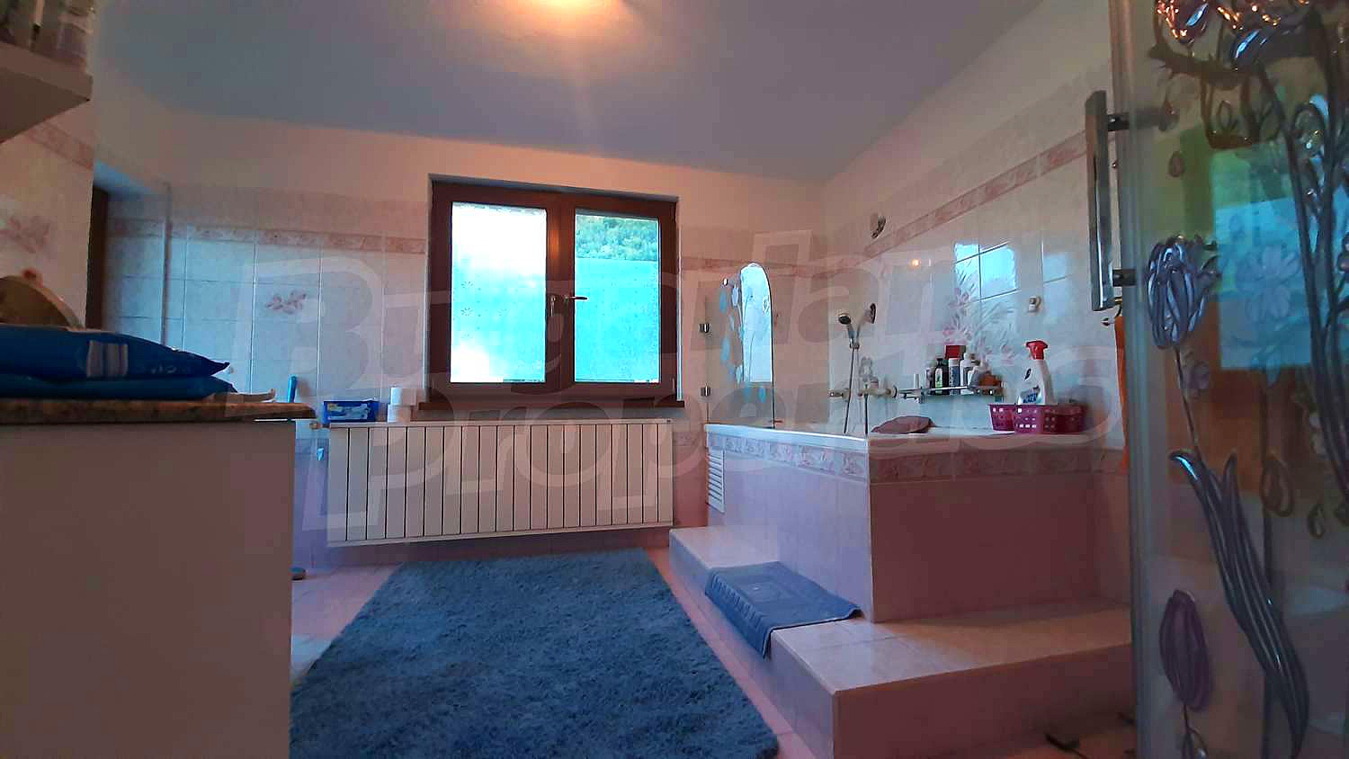 Gallery Picture 30