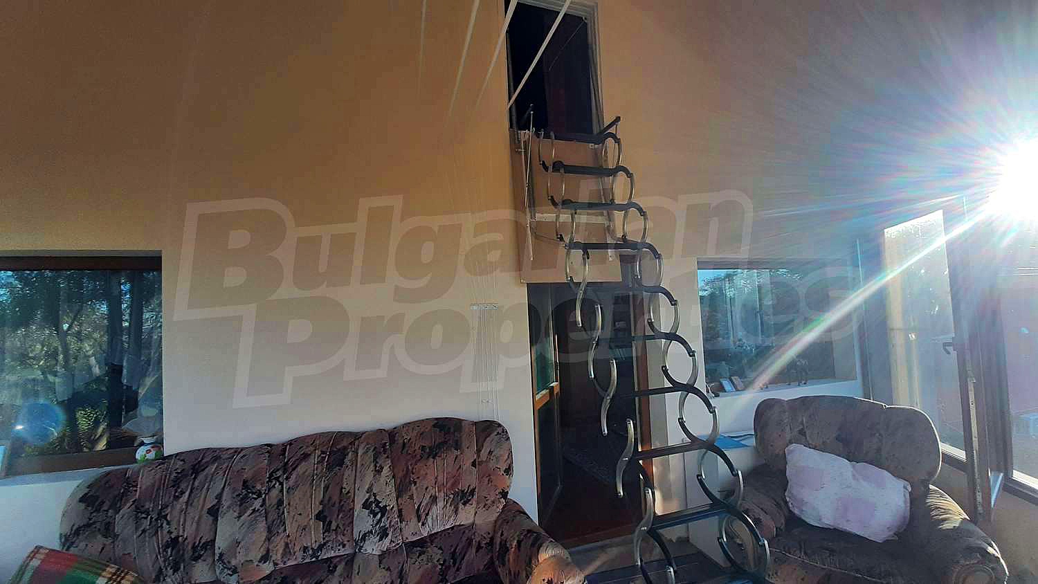 Gallery Picture 39