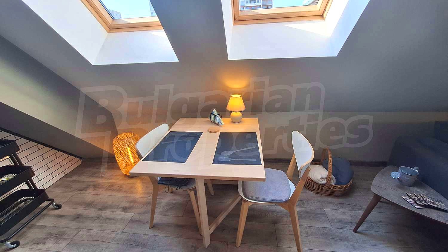 Gallery Picture 11