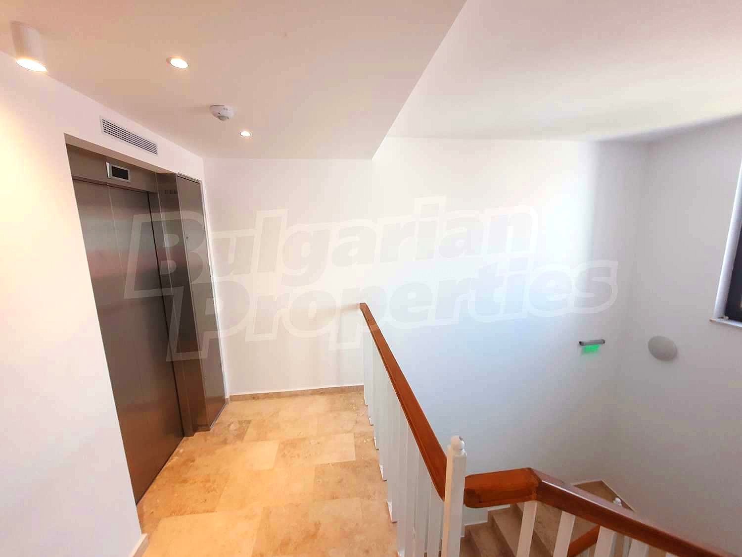 Gallery Picture 19