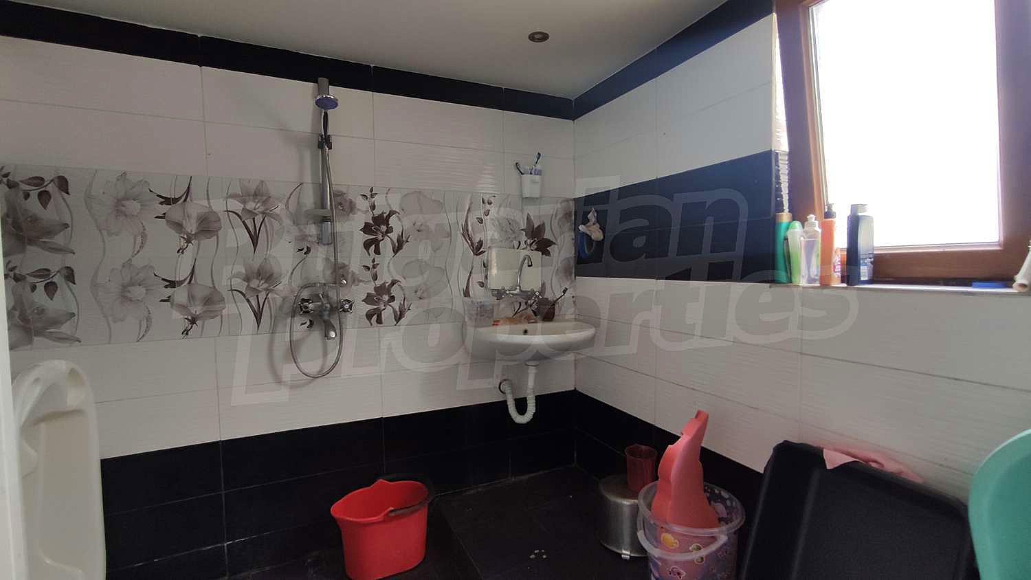 Gallery Picture 8