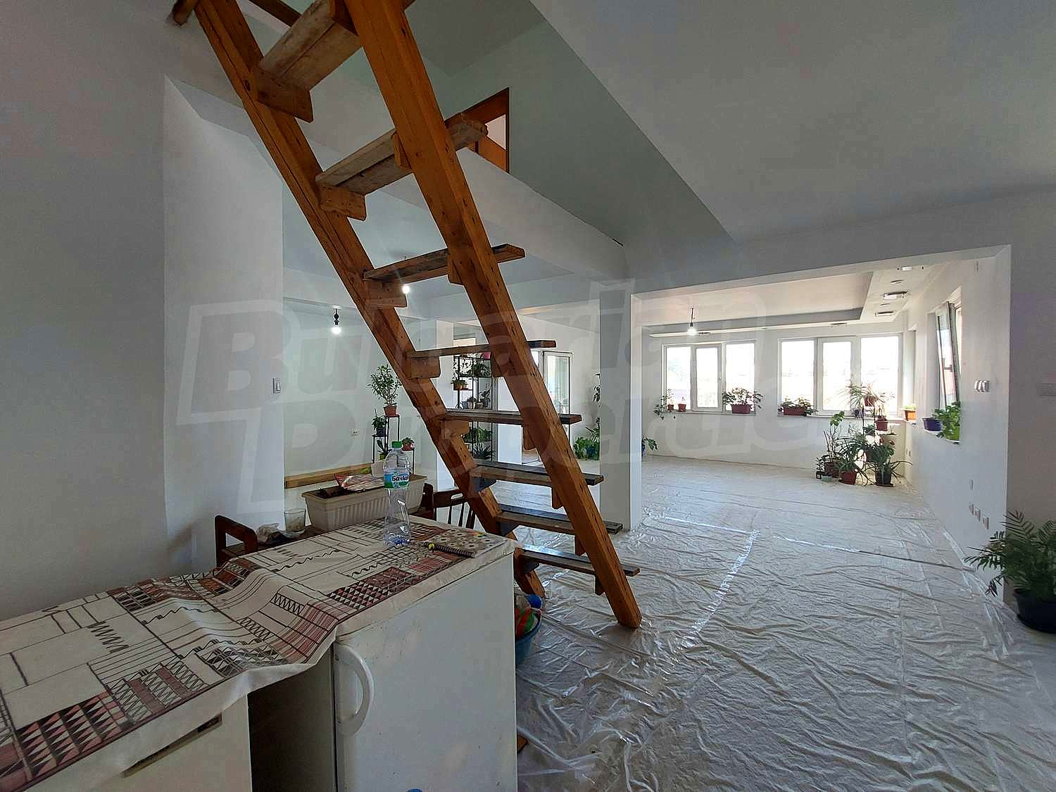 Gallery Picture 13