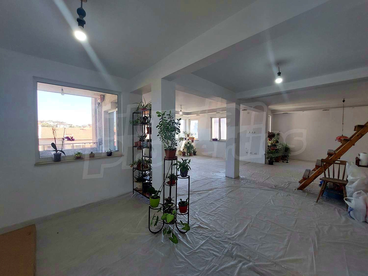 Gallery Picture 17