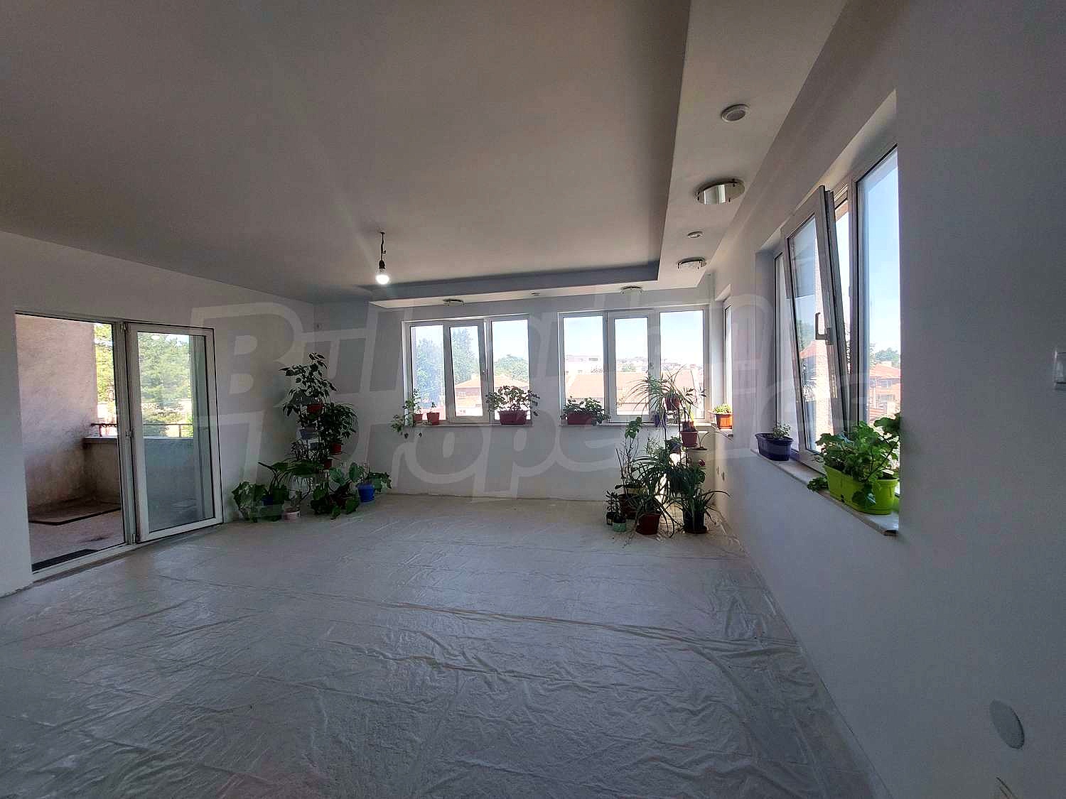 Gallery Picture 18
