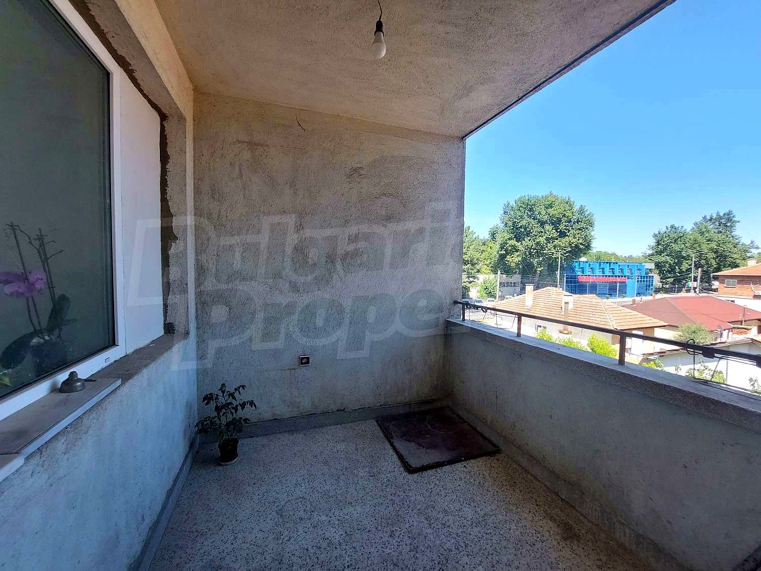 Gallery Picture 33