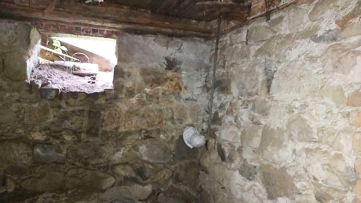 Gallery Picture 23