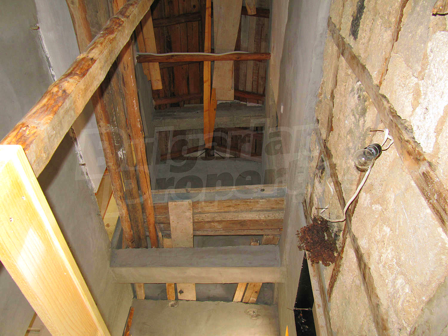 Gallery Picture 11