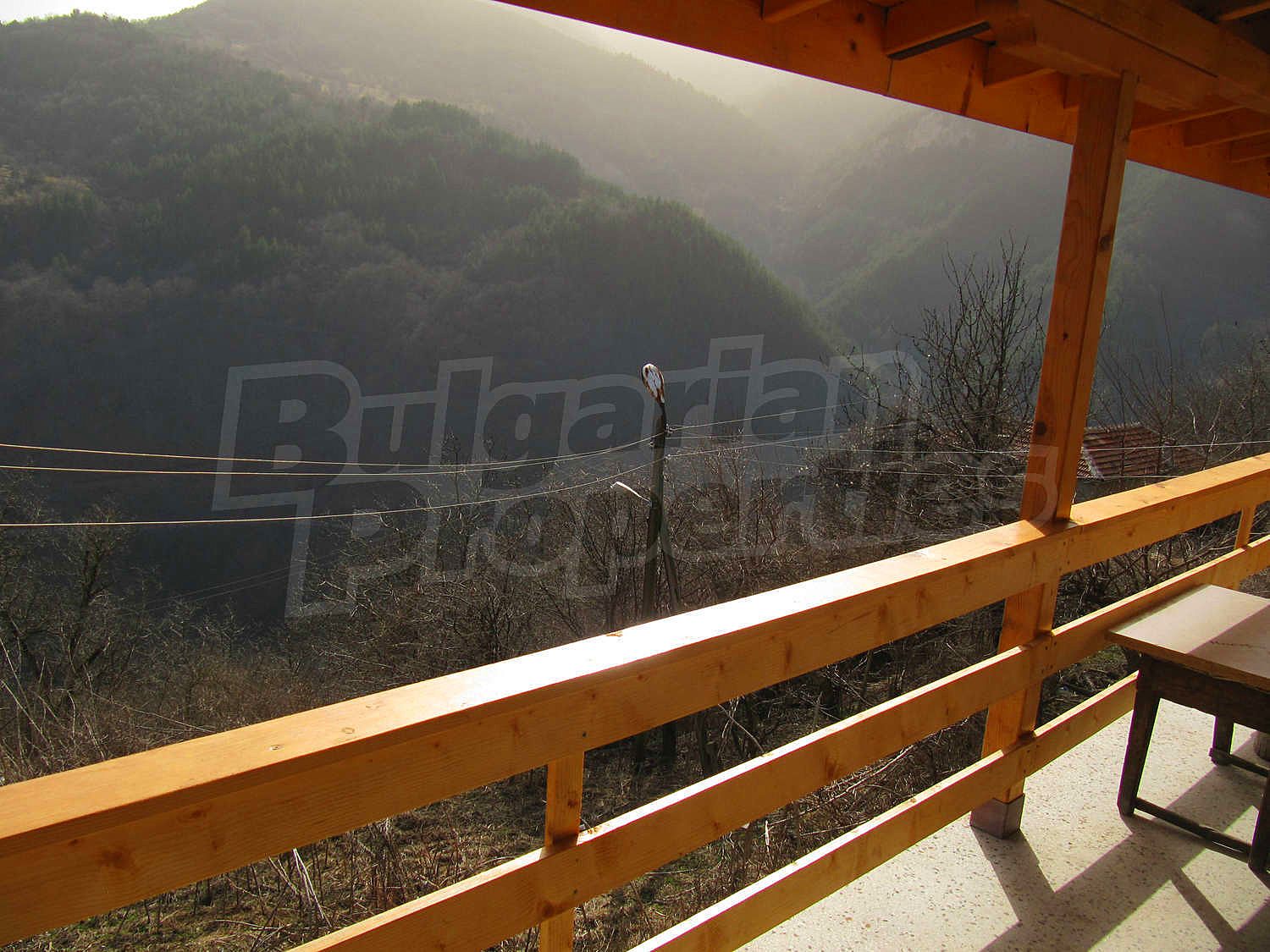 Gallery Picture 12