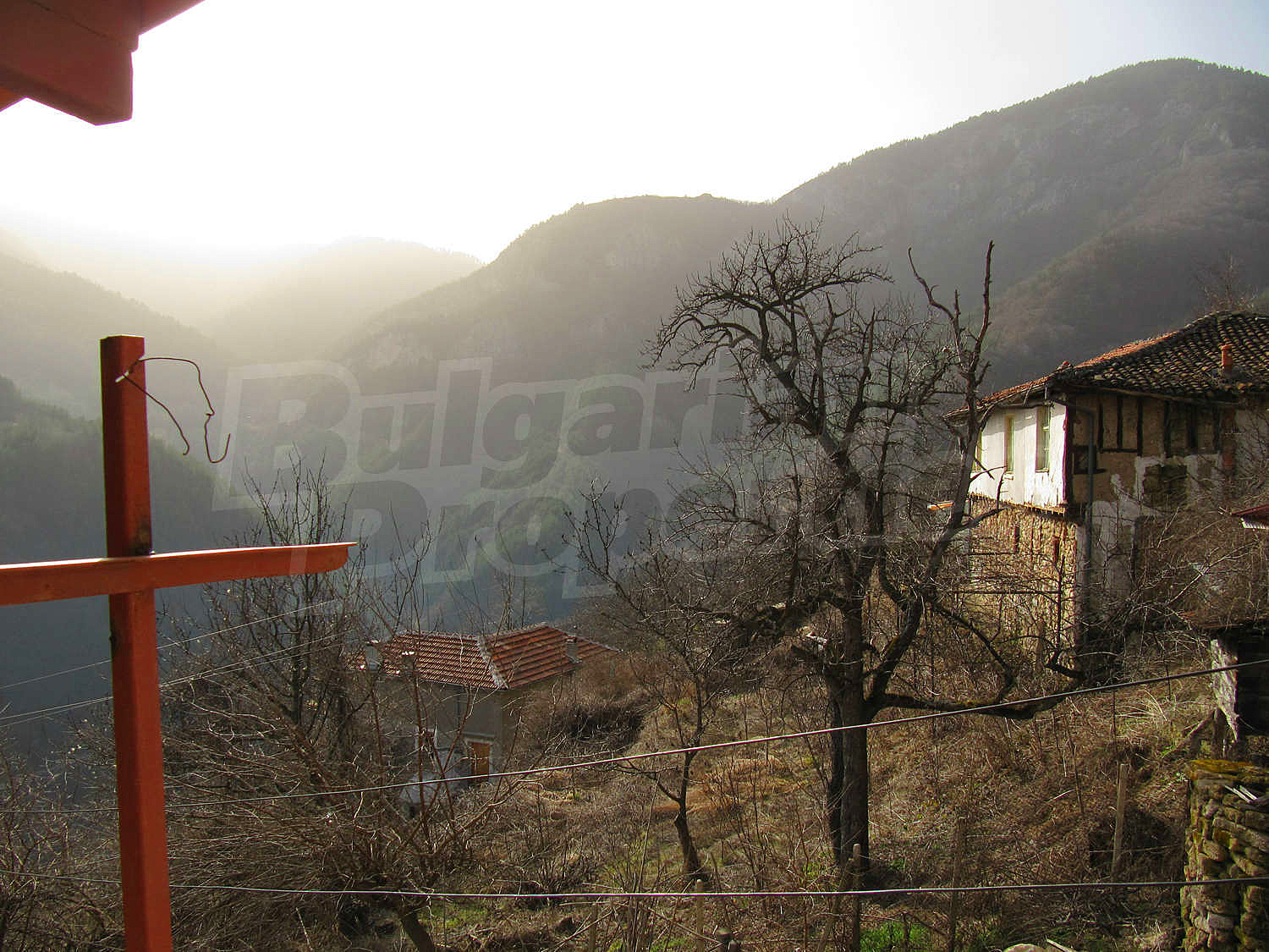 Gallery Picture 16