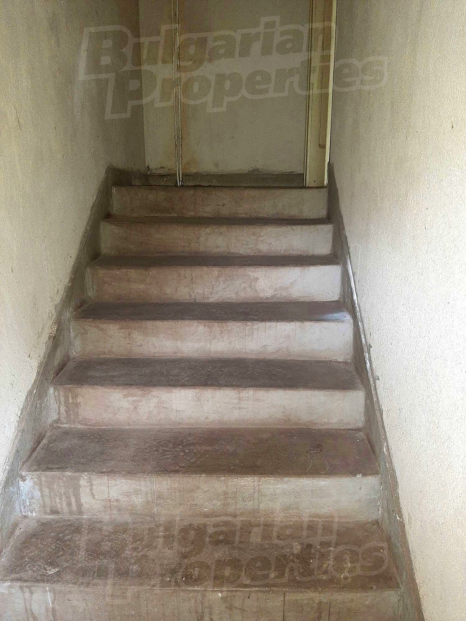 Gallery Picture 11