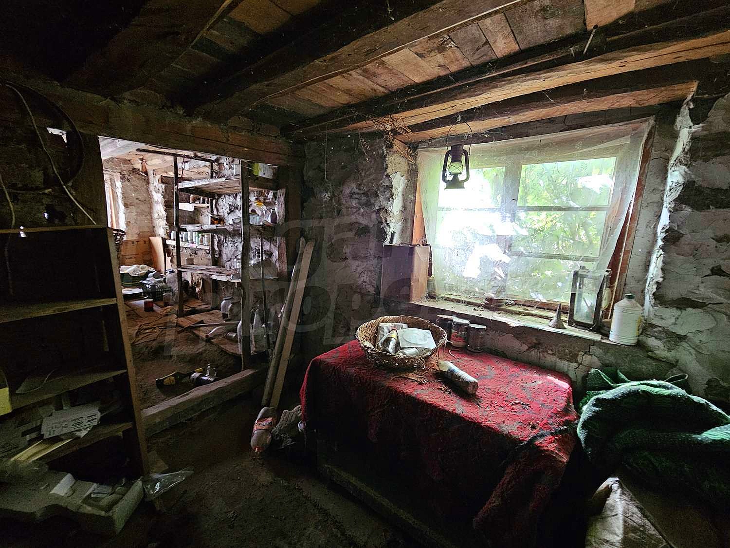 Gallery Picture 38