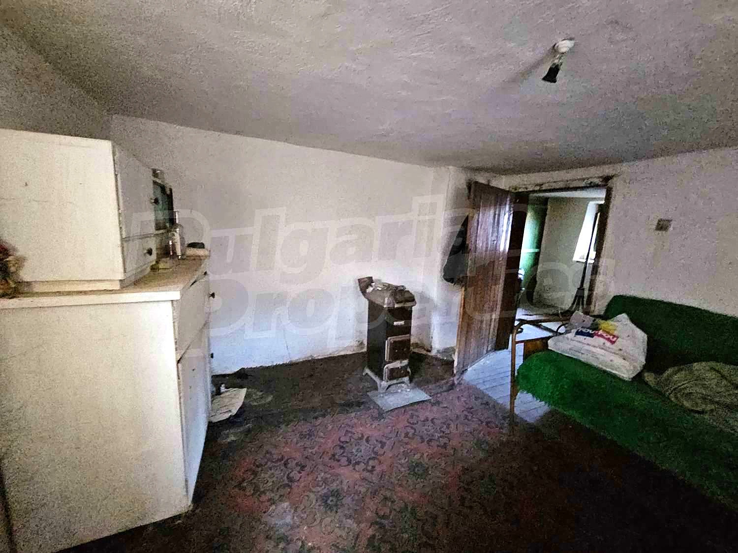Gallery Picture 36