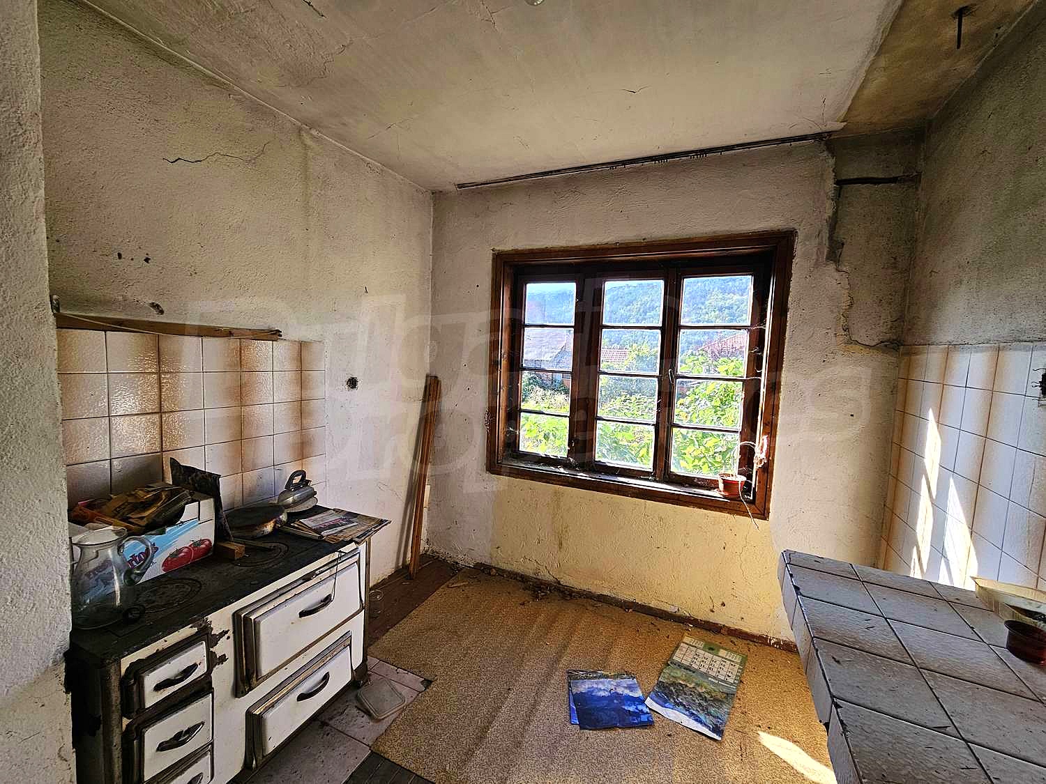Gallery Picture 22