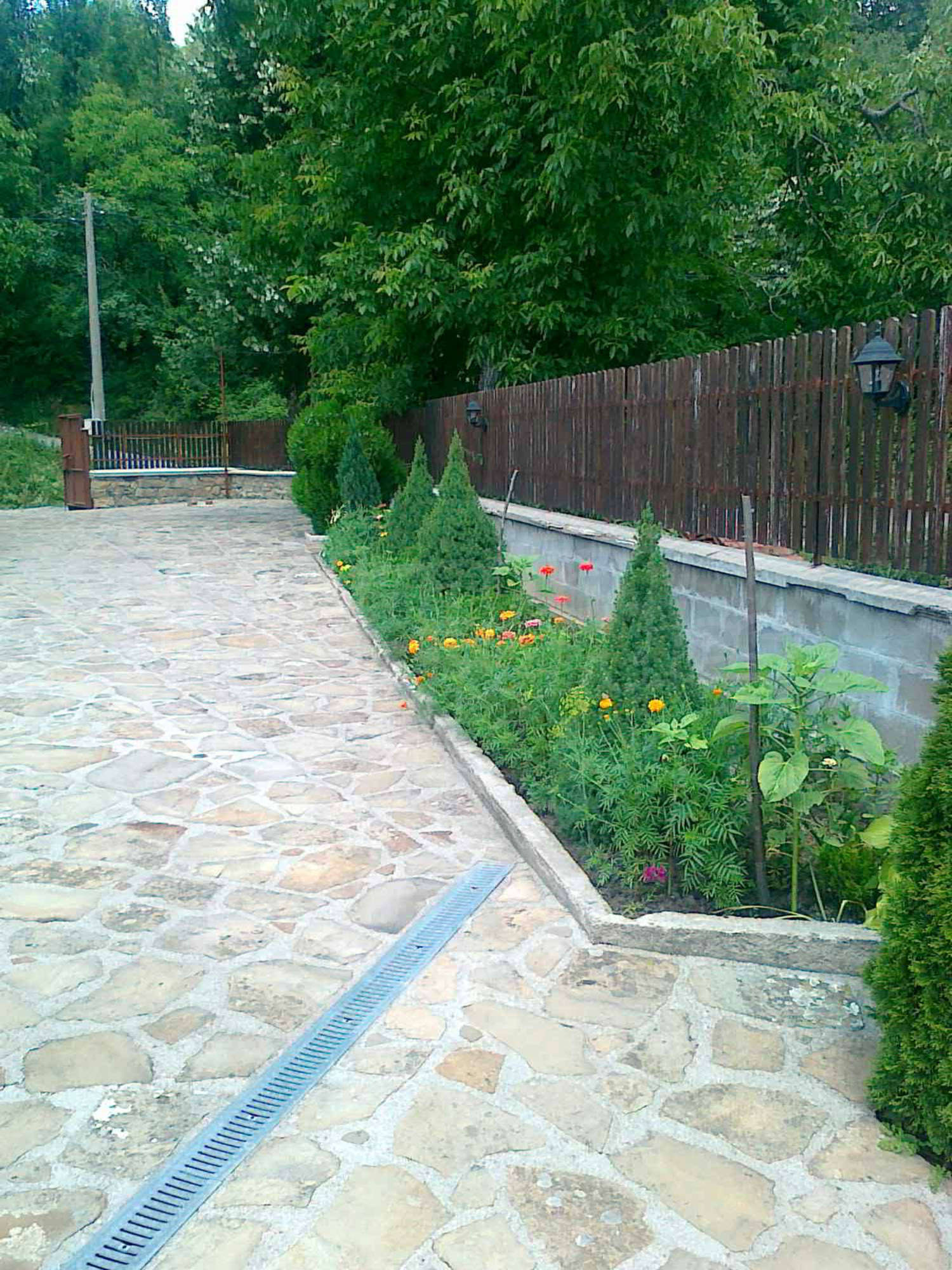 Gallery Picture 19