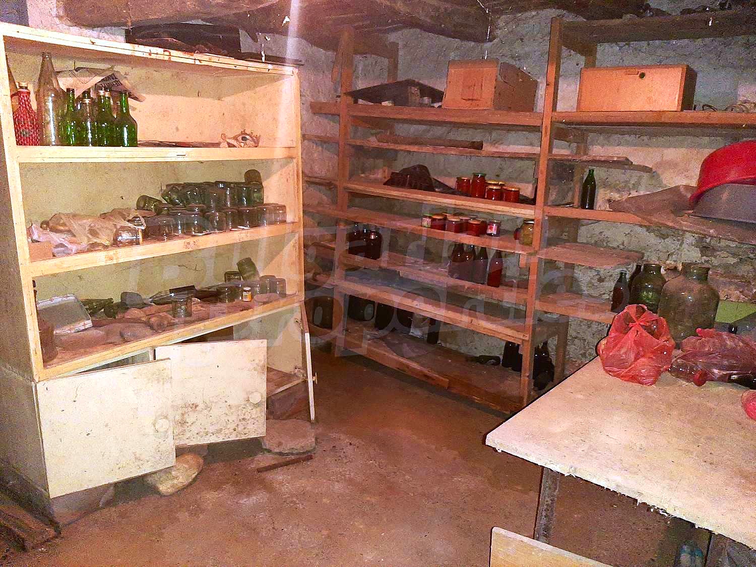 Gallery Picture 14